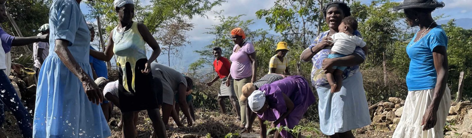 « Yon dwet pa manje kalalou » - Renforcement de la production, la transformation et la vente des produits de l’agriculture familiale en Haïti